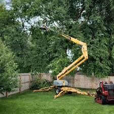 Best Sod Installation  in Joshua, TX